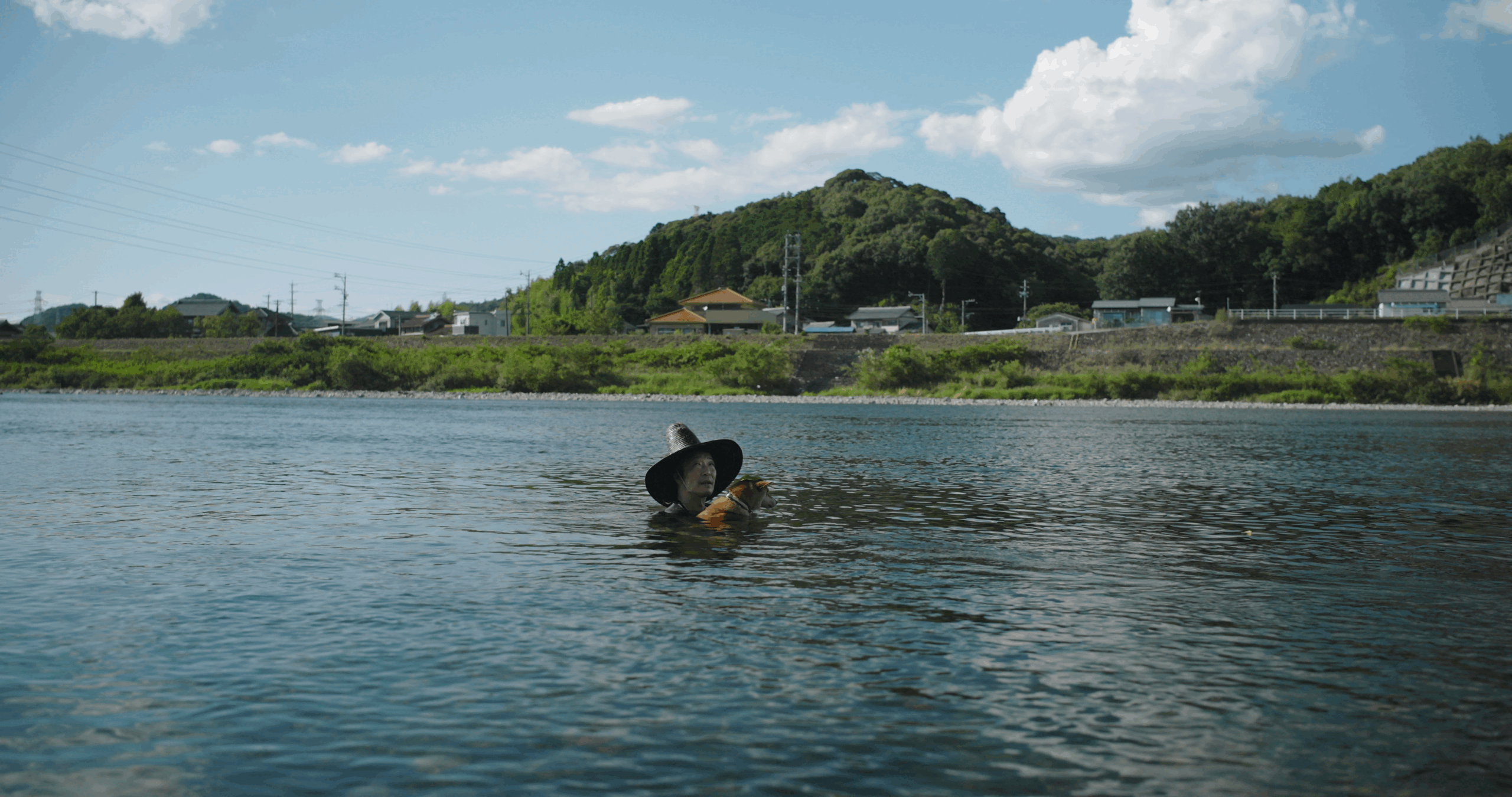 Read more about the article Dans la médiathèque : Au Japon, la pêche au cormoran